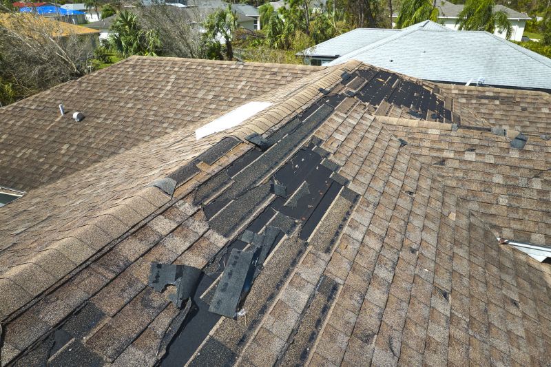Shingle Damage Repair